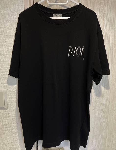 dior x raymond pettibon tee|Dior X Raymond Pettibon .